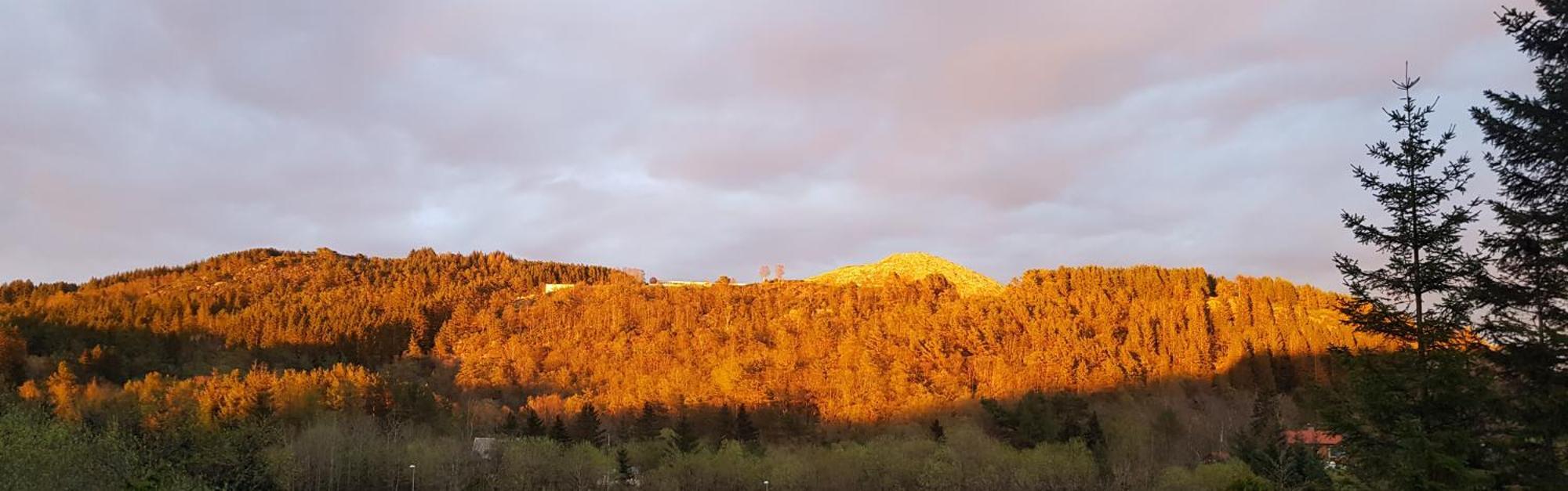 Fjordclaw Snm- Adjoining The Bergen City & Nature Exterior foto